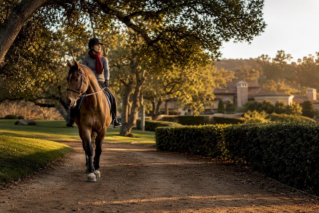 Pocket Listing Access: Rancho Santa Fe Neighborhoods for Luxury Buyers